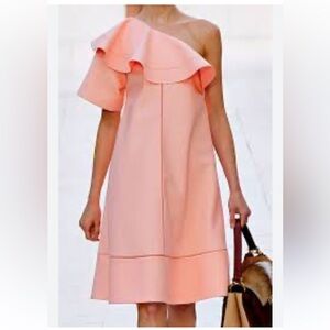 Runway Chloe Blush Dress Sz Large